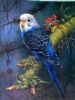 bird-painting-019