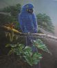 bird-painting-091