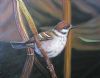 bird-painting-112