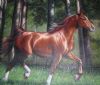 horse-painting-003