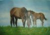 horse-painting-005