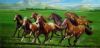 horse-painting-006
