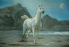 horse-painting-013