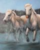 horse-painting-041