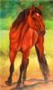 horse-painting-042
