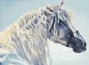 horse-painting-049