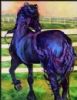 horse-painting-068