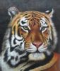 tiger-painting-034