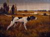 hunting-dog-oil-painting-07