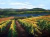 vineyard-painting-037