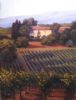 vineyard-painting-057